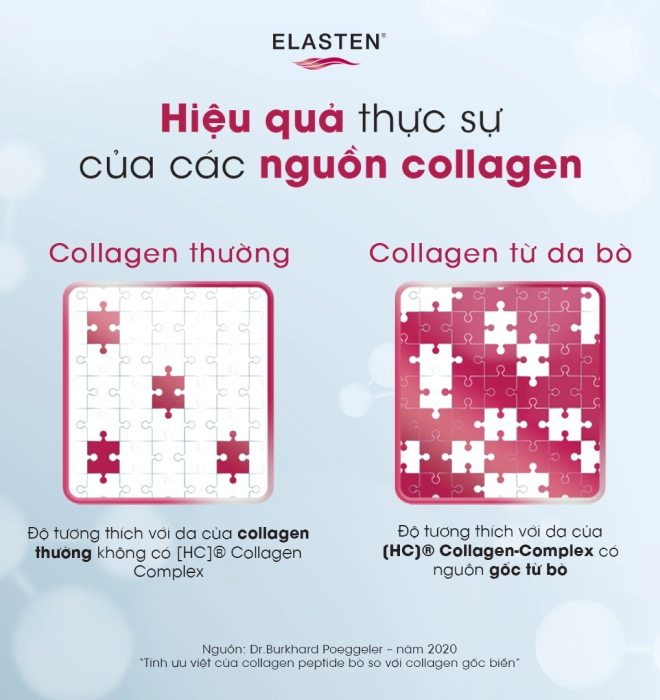 elasten-collagen-7